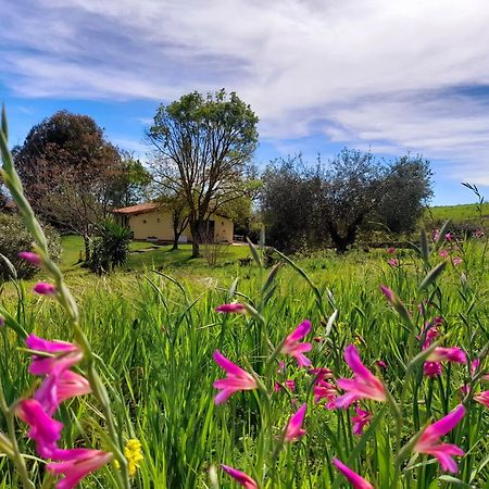 Agriturismo La Sorgente Фонтебланда Екстер'єр фото