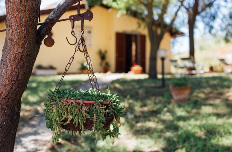 Agriturismo La Sorgente Фонтебланда Екстер'єр фото