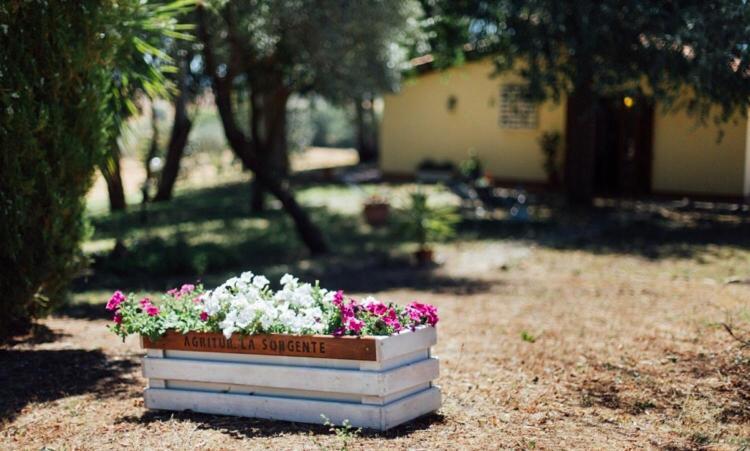 Agriturismo La Sorgente Фонтебланда Екстер'єр фото