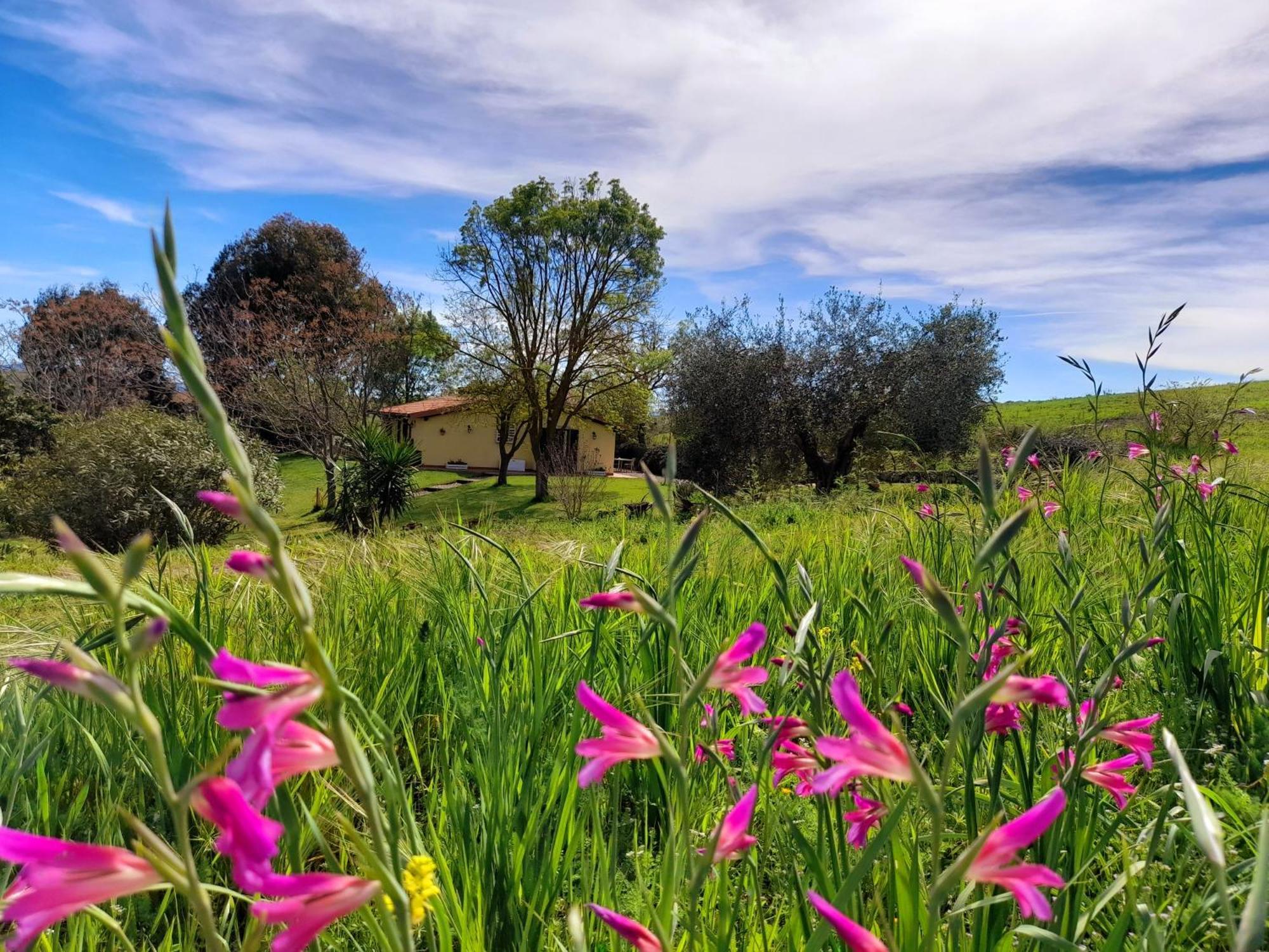 Agriturismo La Sorgente Фонтебланда Екстер'єр фото