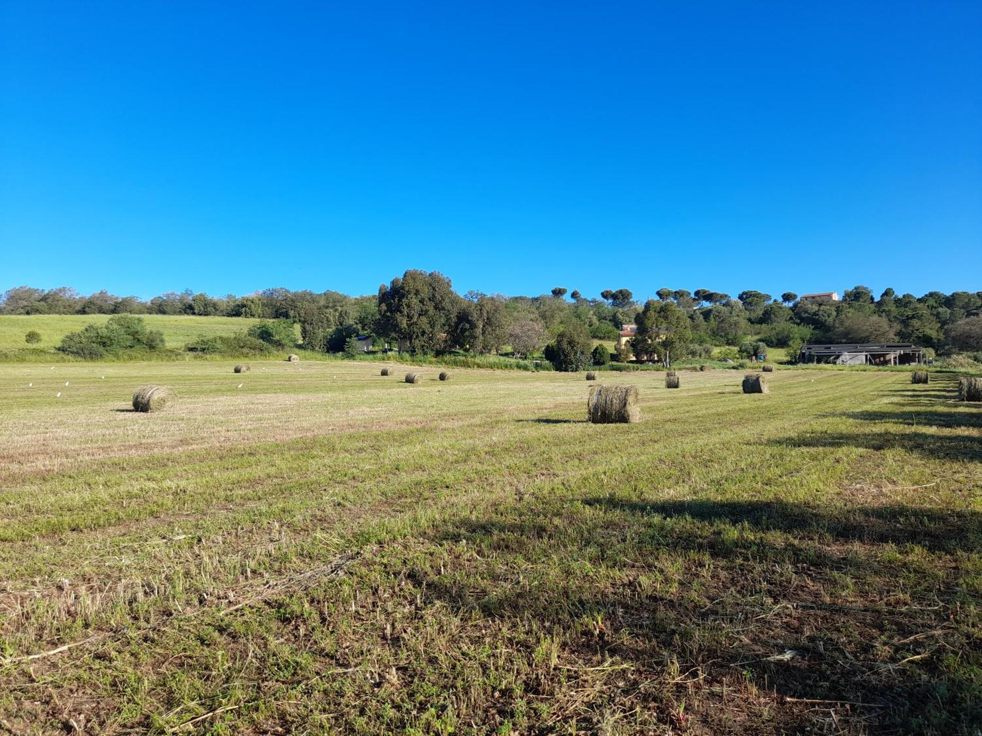 Agriturismo La Sorgente Фонтебланда Екстер'єр фото
